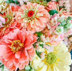 Seed starting 101 with Mollie- Saturday, March 8th 10-11:30am